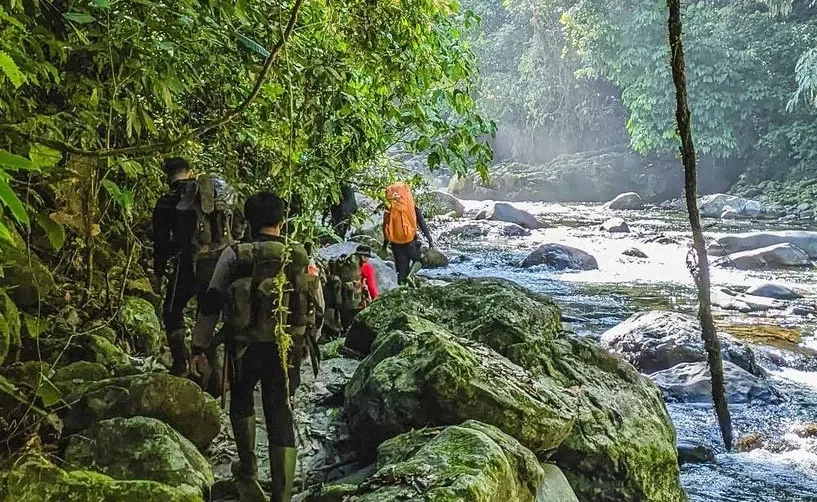Forest Treaking