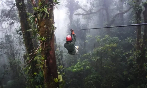 ZipLine